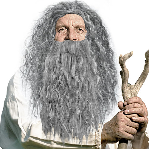 Gray wizard wig and beard - wizard,